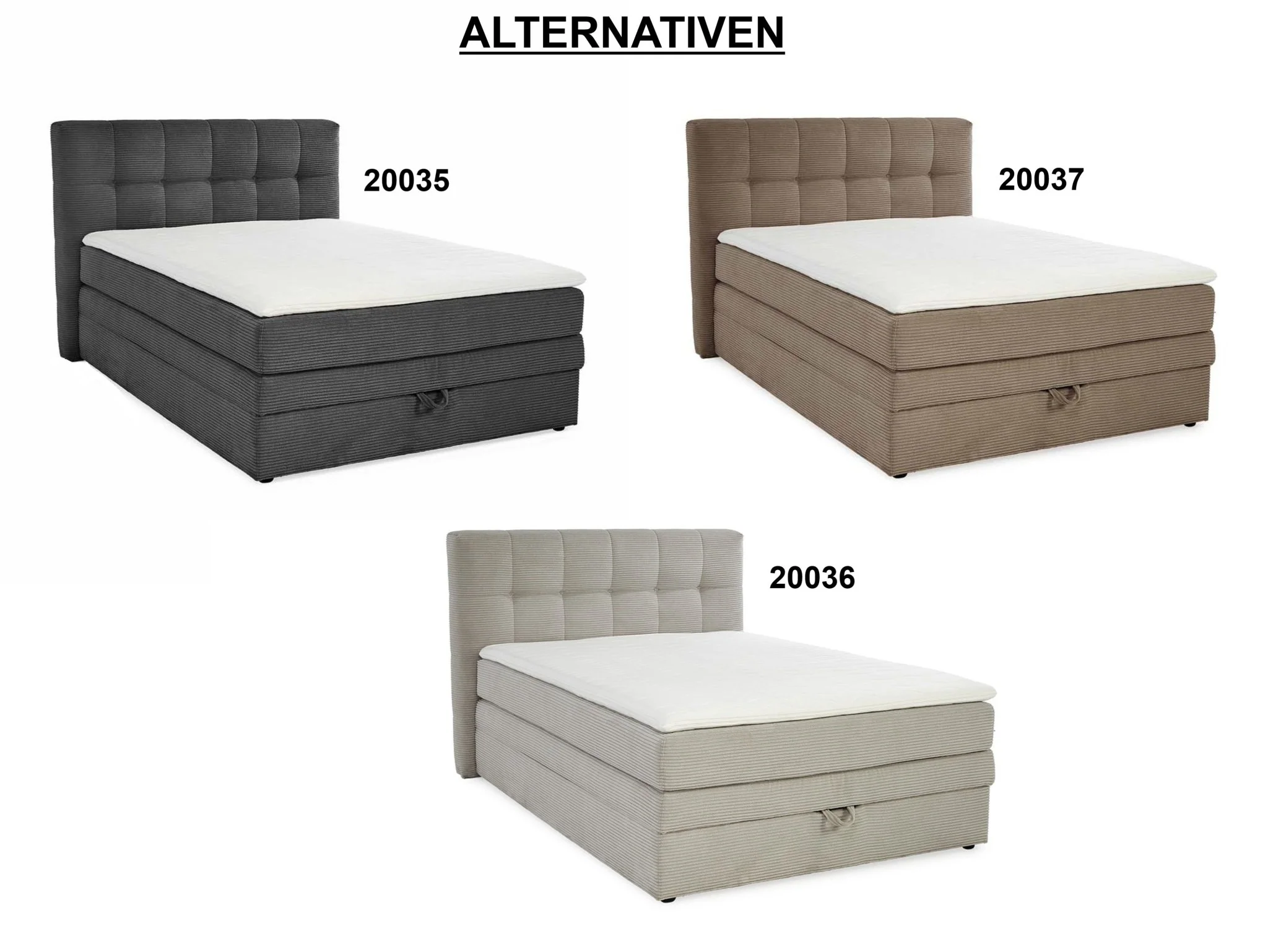 Vorschaubild 11